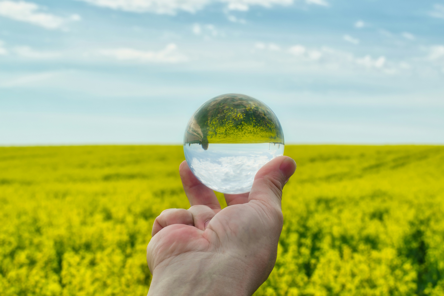 "Hand holding a glass sphere over a green field, representing ESG reporting and metrics for sustainability"