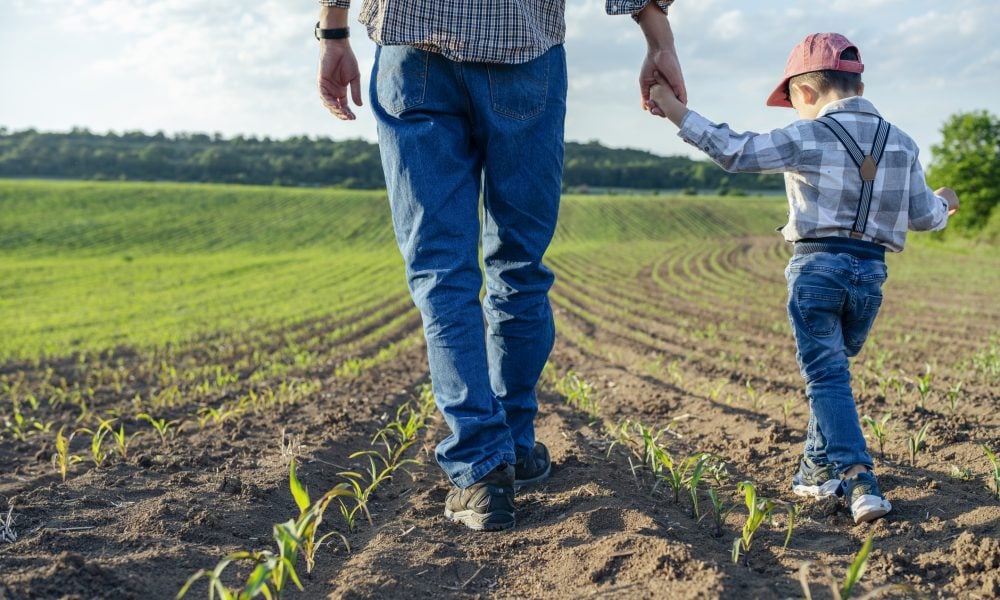 A father and young son walk through a field on the family farm.