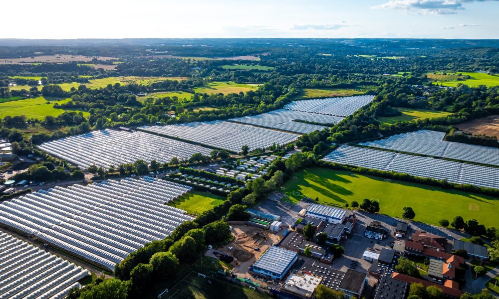 Aerial,View,Of,Industrial,Greenhouse,Farms,In,Agricultural,Part,Of